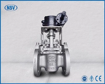 Double Gland Titanium Ploge Valv