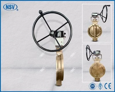 C95800 Double Valv Papiyon Eksantrik